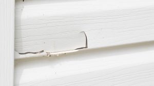 Cracked white siding on a house, close up