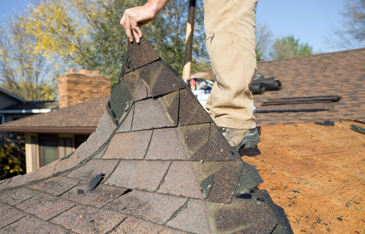 Chunk of shingles being removed from a roof