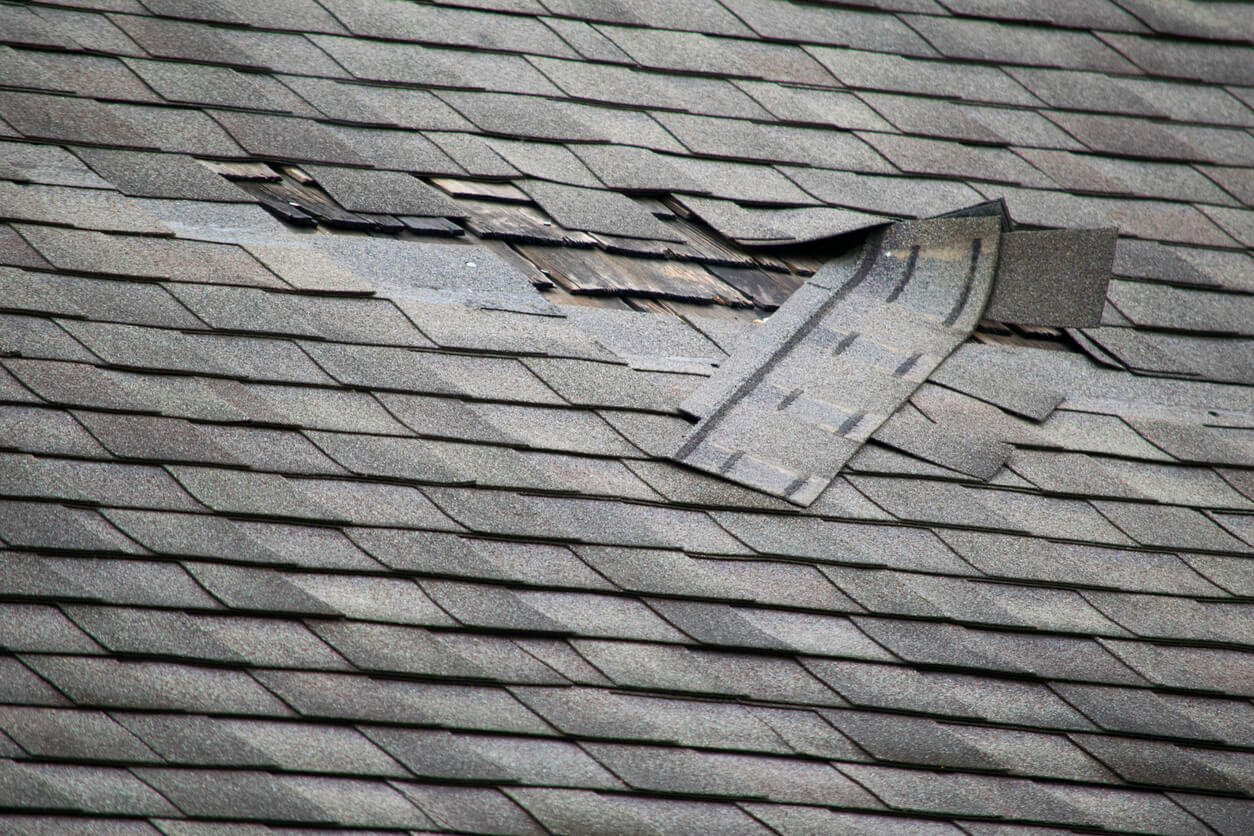A sheet of shingles ripped up from a storm