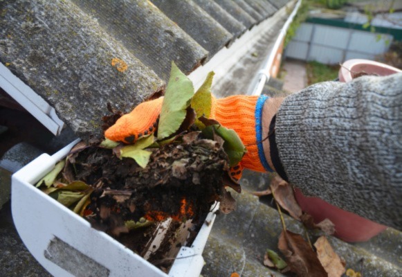 Hand with glove on reaching into a clogged gutter to clear it out