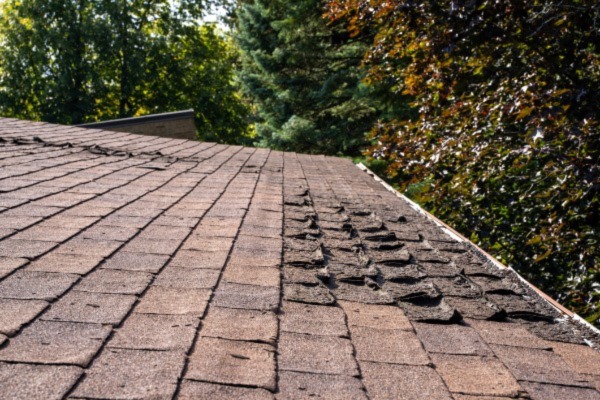 Curved brown shingles on a roof