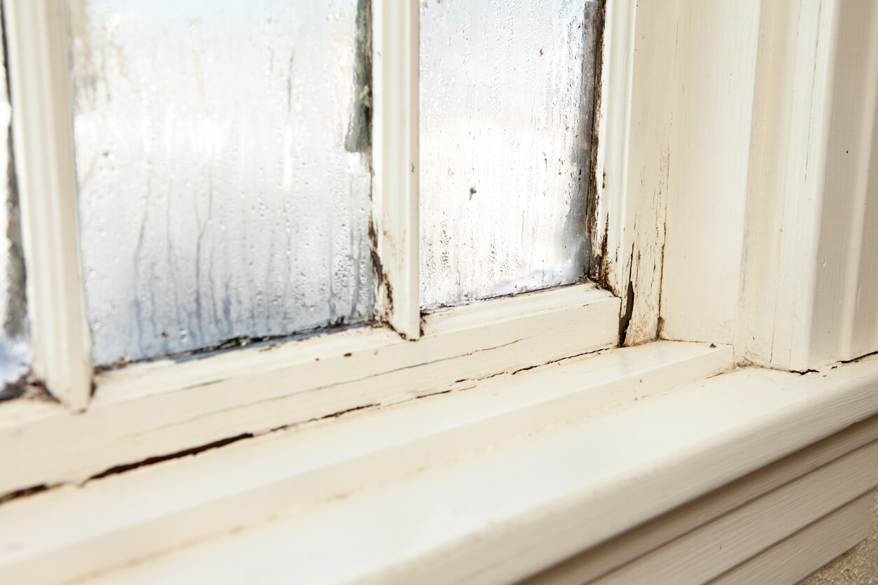 Old windows with dried, cracked caulking and condensation