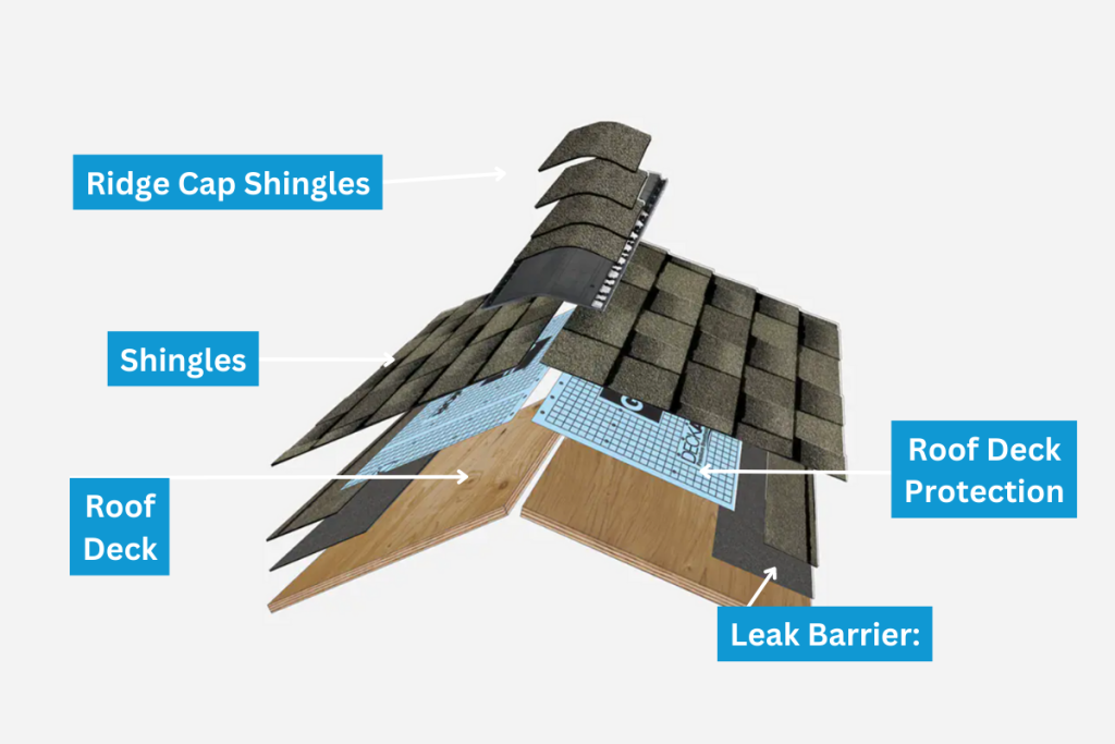A graphic showing the different parts of a roof, including: Ridge cap shingles, shingles, roof deck protection, and a roof deck.