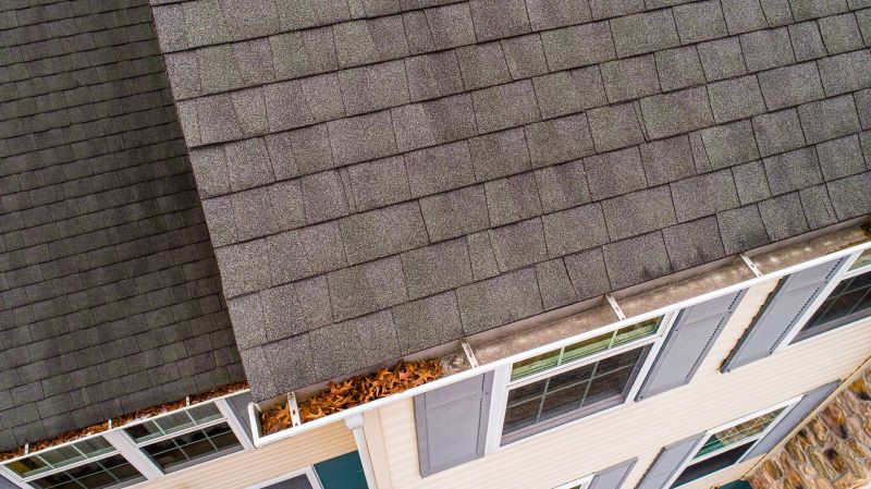 A photo looking down on the roof of a house with leaves in the gutter.