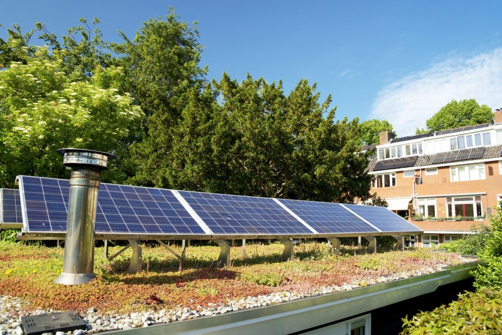 Flat green roof topped with solar panels and planted vegetation, showcasing sustainable roofing and eco-friendly green roof design.
